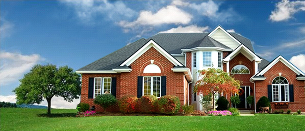 lawn care services