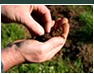 soil analysis