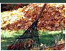 fall and spring cleanup